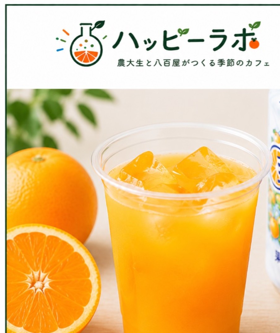 三ヶ日みかんジュース